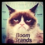 GrumpyCat