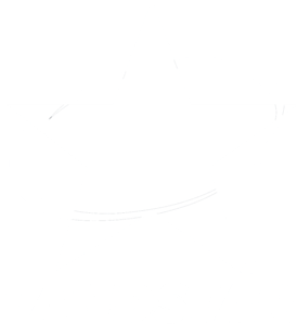 Landstar logo.